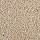 Horizon Carpet: Perfectly Composed (T) Toasted Almond